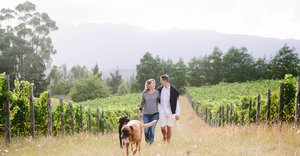 5 Great Stops in Grabouw