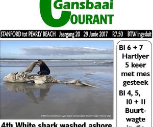 4th White shark washed ashore