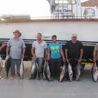 Yellowfin Tuna