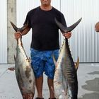 Yellowfin Tuna