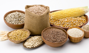 Die gelykenis van die saaier/saad