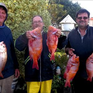 Die week wat verby is was die bote nogal produktief en Albert Potgieter, Mario Seegers en JP Steenekamp het hulle kant gebring met mooi silwervisse en romanne.