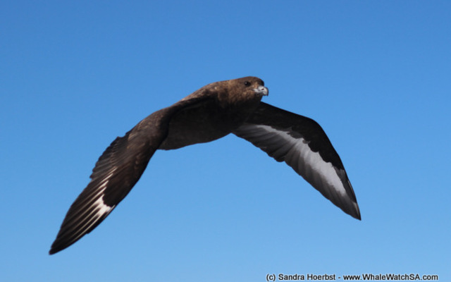 1_20170723_DC_Trip2_SHoerbst_IMG_01_1500899175 1_20170723_DC_Trip2_SHoerbst_IMG_01_1500899175