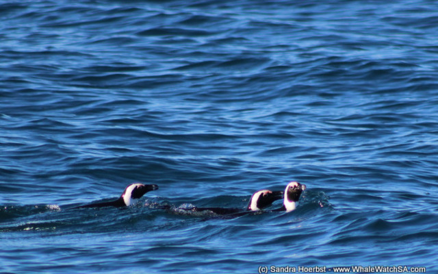 1_20170723_DC_Trip2_SHoerbst_IMG_20_1500899174 1_20170723_DC_Trip2_SHoerbst_IMG_20_1500899174