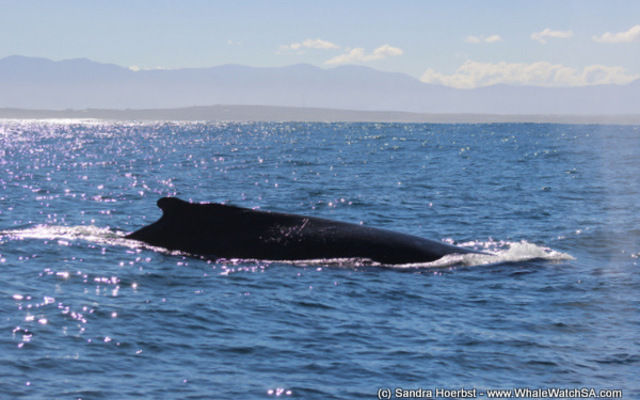 1_20170723_DC_Trip2_SHoerbst_IMG_26_1500899173 1_20170723_DC_Trip2_SHoerbst_IMG_26_1500899173