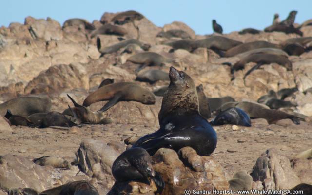 1_20170723_DC_Trip2_SHoerbst_IMG_76_1500899176 1_20170723_DC_Trip2_SHoerbst_IMG_76_1500899176