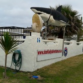 Wooden Pole for Feature