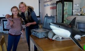 Huge shark shows up teeth on Marine Day 