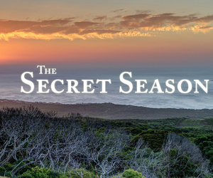 Grootbos Secret Season (Part 3)