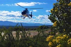 WhatsApp_Image_2017_08_02_at_16.23.241_1501684992