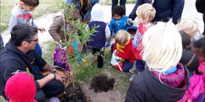 Nuuskierige Cool Kidz kleuters bekyk die plant van ‘n boom op hul terrein, wat ‘n inisiatief van Doulene Els (Gansbaai Toerisme) was.