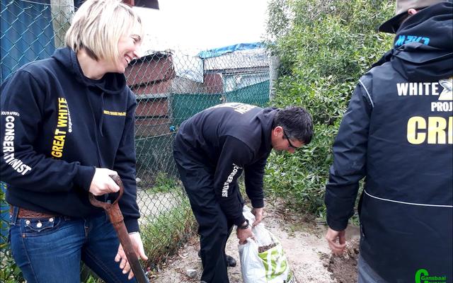 Gansbaai Toerisme het in samewerking met White Shark Projects vir die plant van bome gereël. Hier was dit Rainbow Kids kleuterskool in Beverley Hills se beurt.