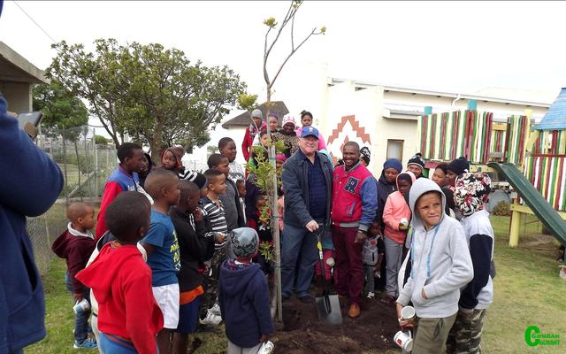 In Pearly Beach het rdl Dudley Coetzee (met die graaf), in samewerking mat Gansbaai Munisipaliteit bome geplant.