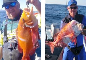 Overberg neem deel aan WP-liga