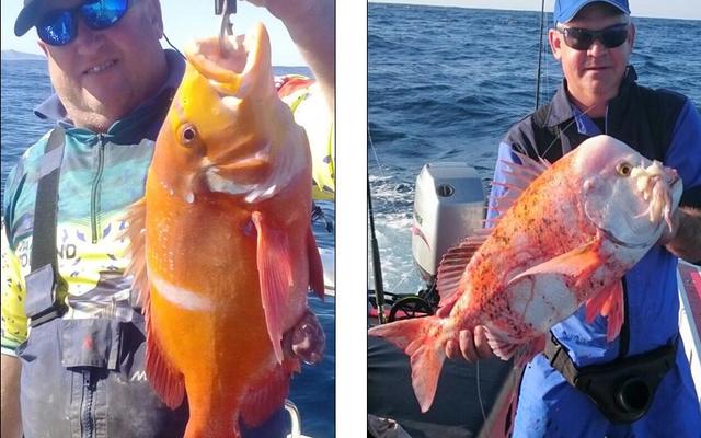 Mark Truter (links) met 'n rooiroman en DP Burger met 'n rooistompkop van 2.18kg. DP neem volgende week aan die NDSAA Bottom Nationals in Durban deel.