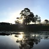 Stanford Hills Estate