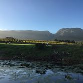 Stanford Hills Estate