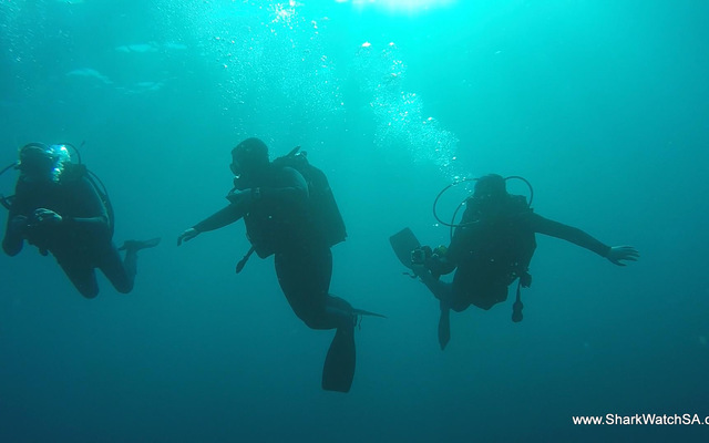 Mako_jpeg_1502355104