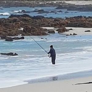 While a group of approximately 30 divers were confronting 4 inspectors of the fishing industry at Pearly Beach on Monday morning, they were observed by a lone fisherman enjoying the serene nature.  