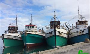 Of trawling and trawlers...