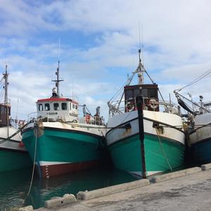 Four of the local pelagic trawlers at their moorage in Gansbaai New Harbour: the Kolgans, Berggans, Silver Snapper and Bella Prima biting at the anchor to get to sea and do what they do best … trawl.