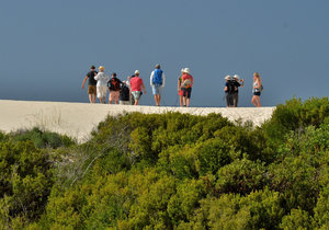 Whale watching wonderland at De Hoop