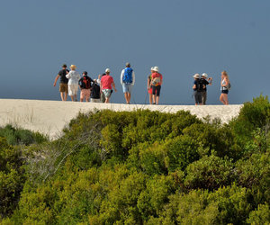 Whale watching wonderland at De Hoop
