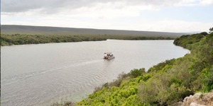 Eco Boat Cruises on the Vlei