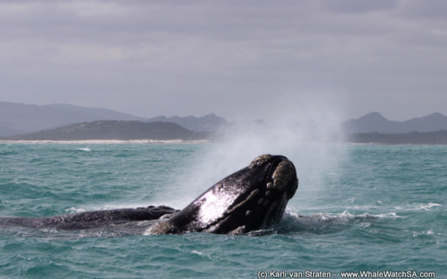 1_20170829_DC_Trip1_KvanStraten_IMG_245_1504083378