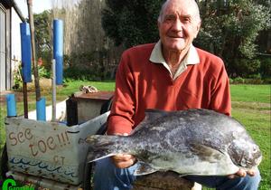 Probeer só vir 'n galjoen