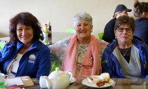 DA-breiprojek - Riana sê dankie