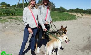 Animals@Peace sien om na BARC-honde