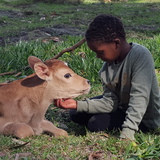 20170804_132817_1505393037