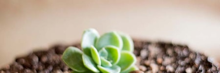 Annas_Pies_chocolate_cake_1505732171