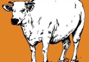 Beeskraal Ope Golf Dag