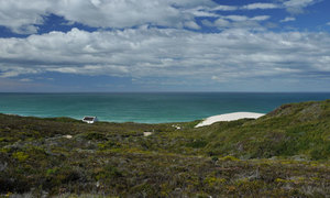 Discover the beauty of the Cape Floral Kingdom at De Hoop