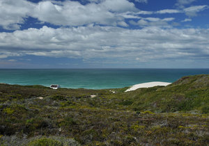 Discover the beauty of the Cape Floral Kingdom at De Hoop