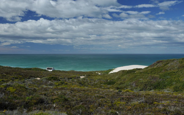 Fynobos and Whale Watching at De Hoop