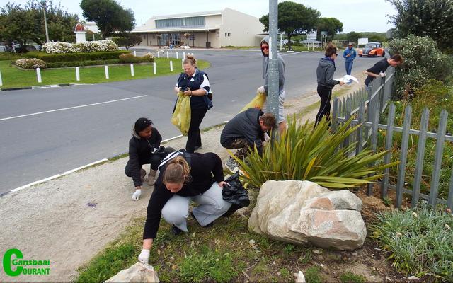 Geen rommelstuk is oorgesien nie. Hier is een van Gansbaai Toerisme se groepe hard besig om die oseaan van rommel te red.  Die foto is op die hoek van Hoof- en Kapokstrate geneem.