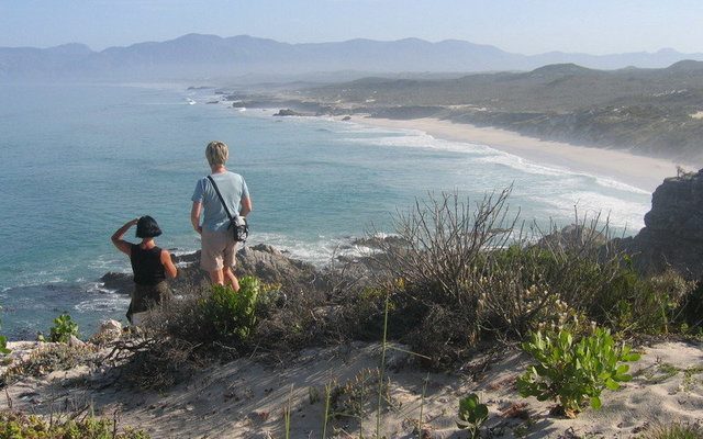 Nearby Die Plaat beach Nearby Die Plaat beach