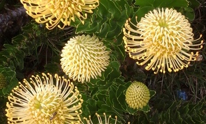 Wedloop van ons geloofslewe