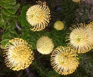 Wedloop van ons geloofslewe