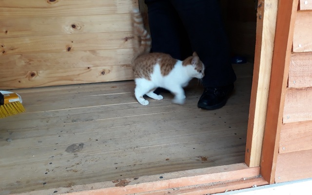 Tiff_Griff_new1__1508483686