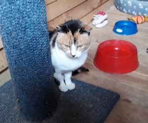 Dorie looking for a home