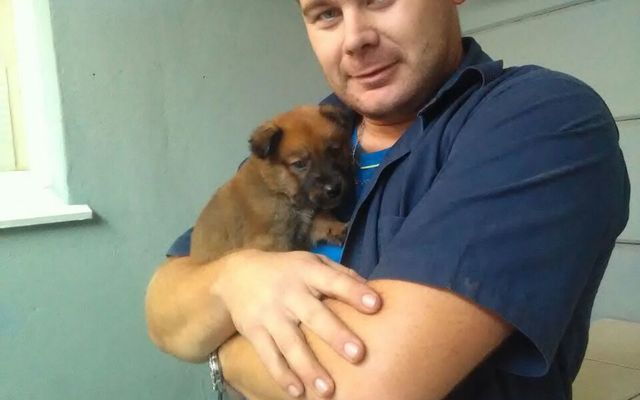 Veters_4__1508485818