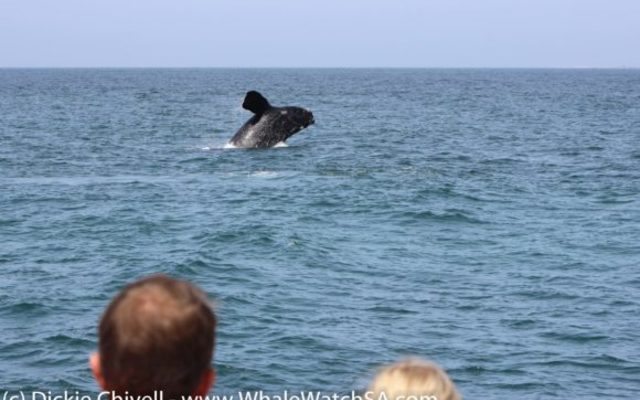 IMG_1097_580x387_1509634001