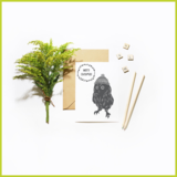 Christmas_Card_Owl_IG_1509723428