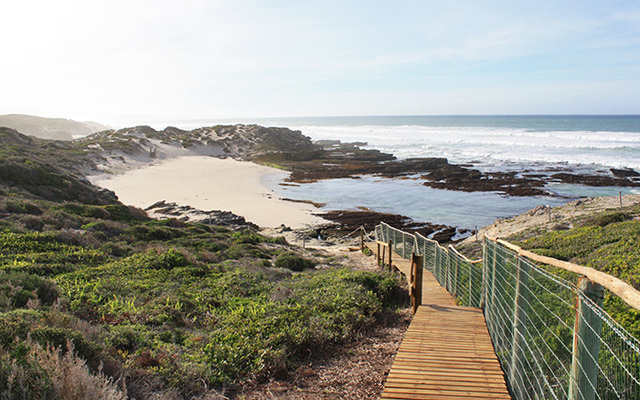 De Hoop Marine Walk