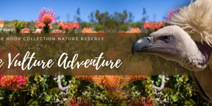 The Vulture experience at De Hoop