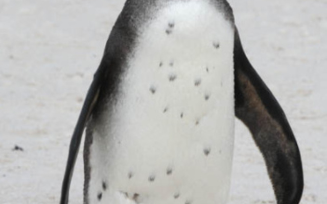 Fullscreen_capture_2017_11_06_033319_PM.bmp_1509975515